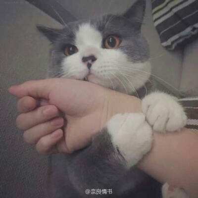 青云剑道内购破解版下载