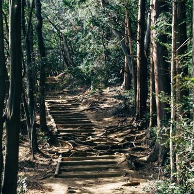 幻想生活online中文修改版下载