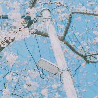 放置美少女夏日版下载